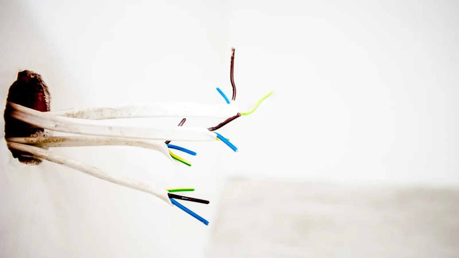 Mehrere Elektrokabel ragen aus einer Wandöffnung vor weißer Wand
