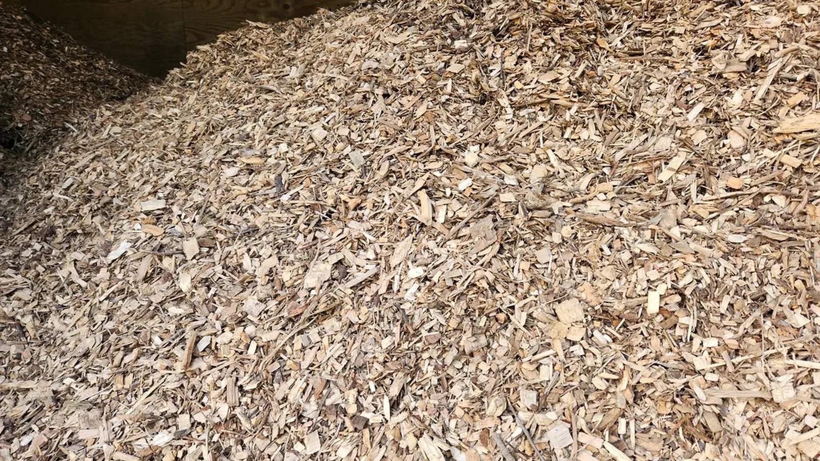 Großer Haufen Holzhackschnitzel als Brennstoff in einem Lagerraum