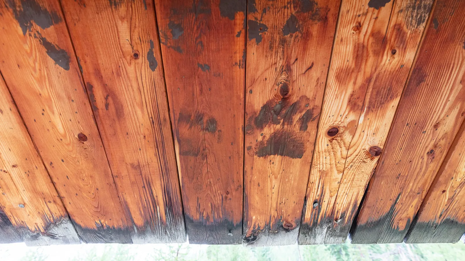 Dunkle Feuchtigkeits- und Schimmelflecken auf einer Holzdecke
